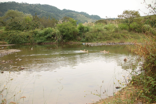 山间湖泊