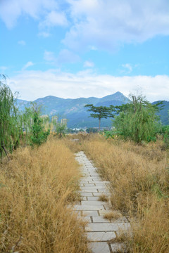 花海公园