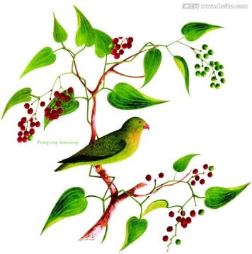 手繪花鳥