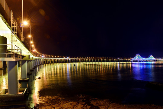 跨海大桥夜景