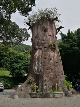 青青世界景区