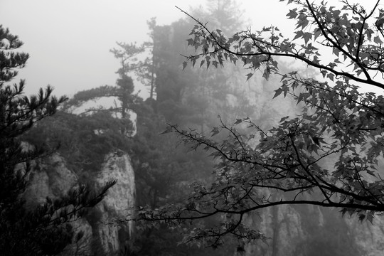 水墨山水