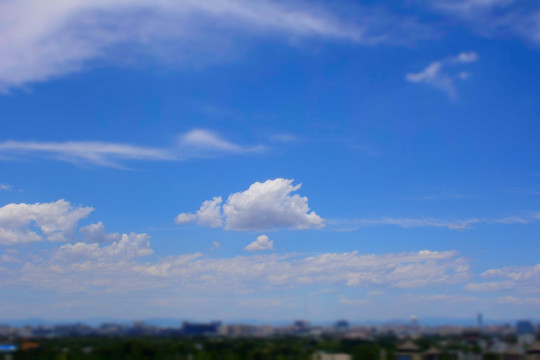 树枝与天空