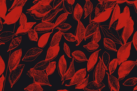 磁磚花紋
