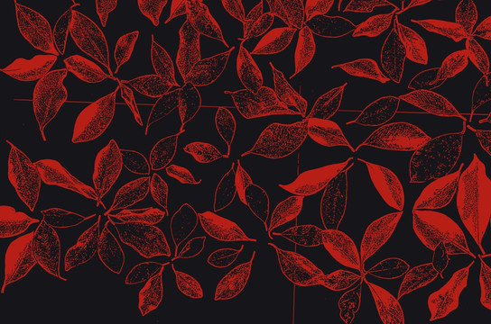 地磚花紋