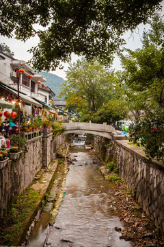 杭州梅家坞风光