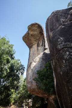 斯里兰卡狮子岩的眼镜蛇