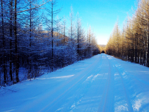 冬季森林公路