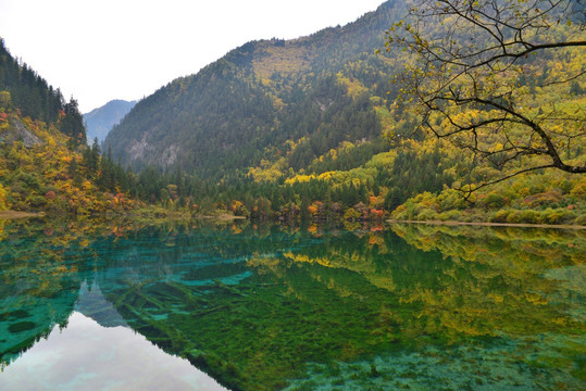 山水风光