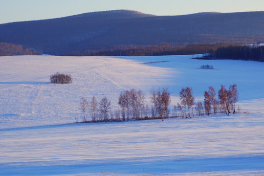 田野雪原