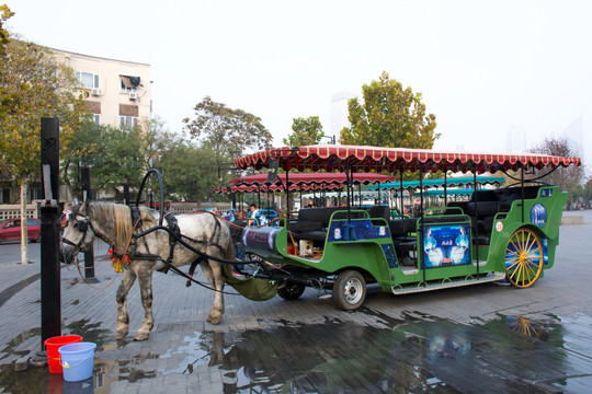 旅游景区的马车