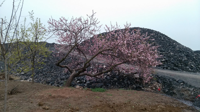 煤矿矸石山