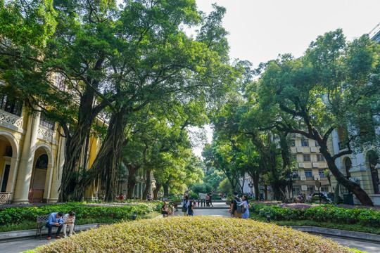 广州租界老建筑 沙面老街