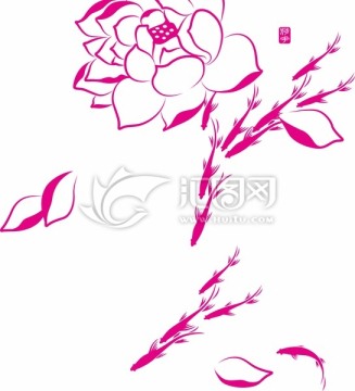 荷花魚