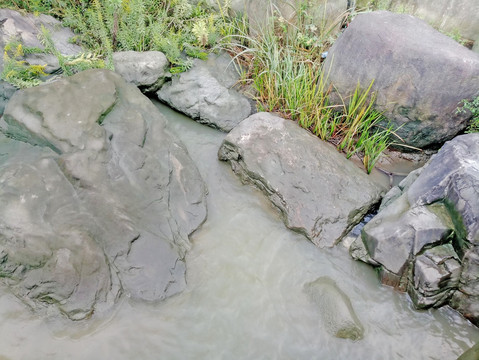 滩涂 溪流 河岸 河滩