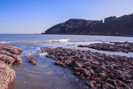 海滩