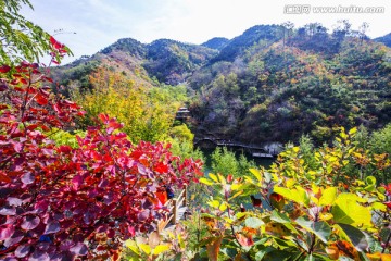 多彩九如山