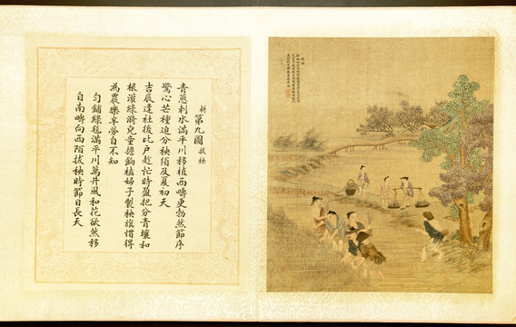 焦秉貞 耕織圖冊