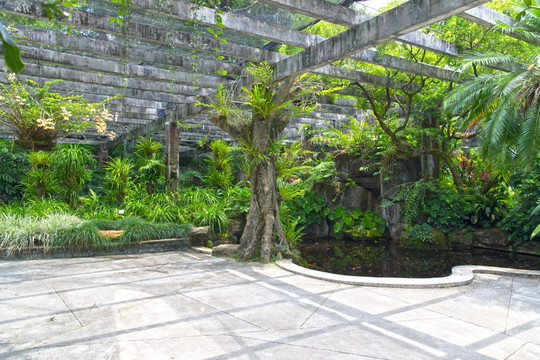 園林景觀蘭花園