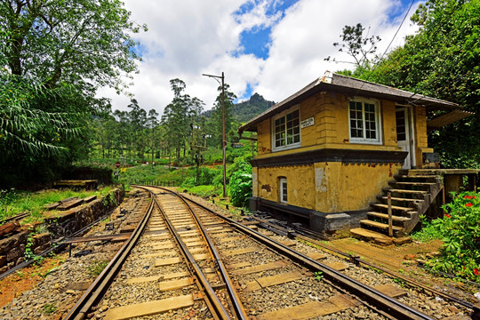 斯里兰卡 高山火车