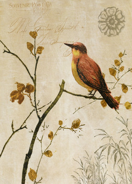 蝴蝶 歐美風(fēng)格 花 英倫風(fēng)