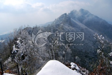 茶山竹海