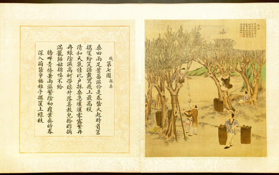 焦秉貞 耕織圖冊