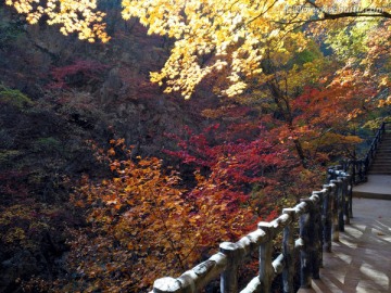 大石湖风景