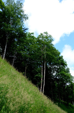 大山里