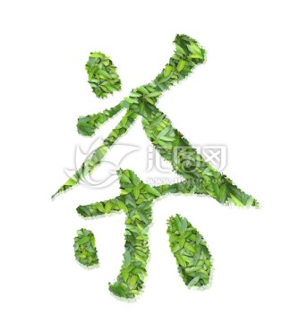 茶 合層