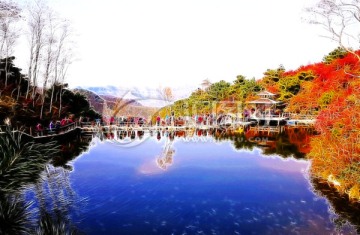裝飾畫風(fēng)景 紅葉 合層