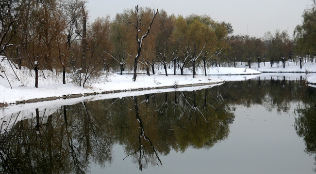 北京奥森公园   湿地冬天