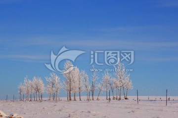 雪野树林