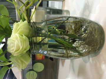 玻璃花瓶  玫瑰
