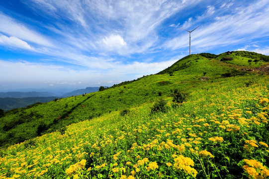 高山祥云