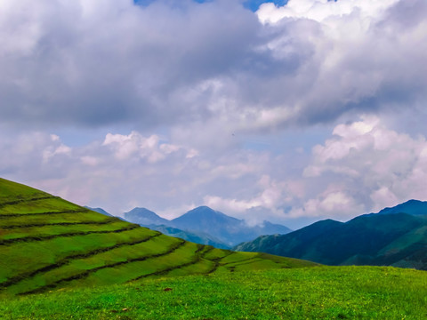 高山牧场