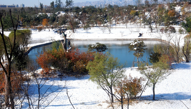 北京奥林匹克森林公园湿地雪景