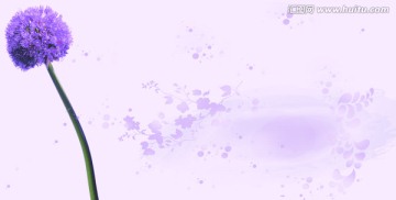 紫色花朵创意背景图