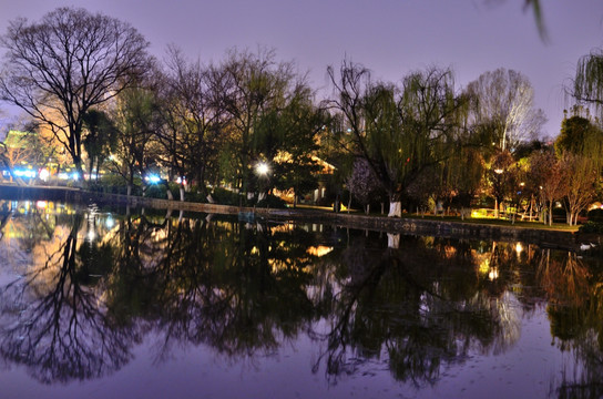 翠湖夜景