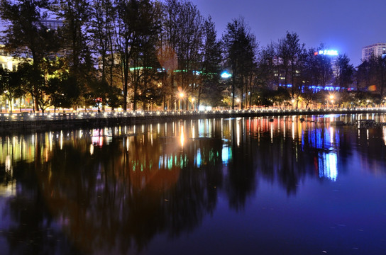 翠湖夜景