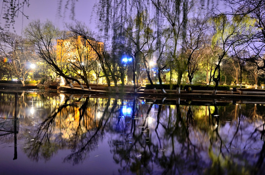 翠湖夜景