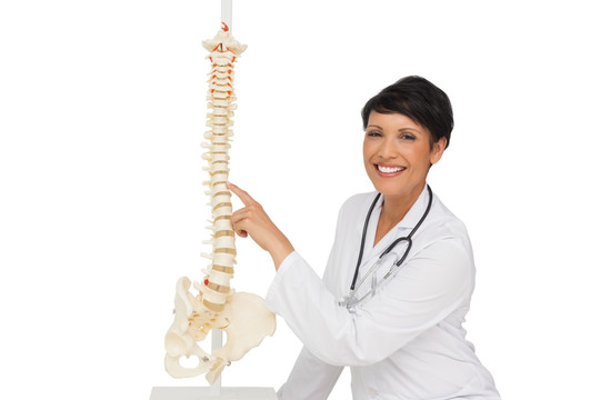 看骨骼模型的女医生