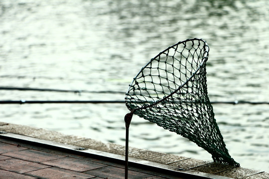 魚網