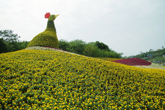 花雕凤凰