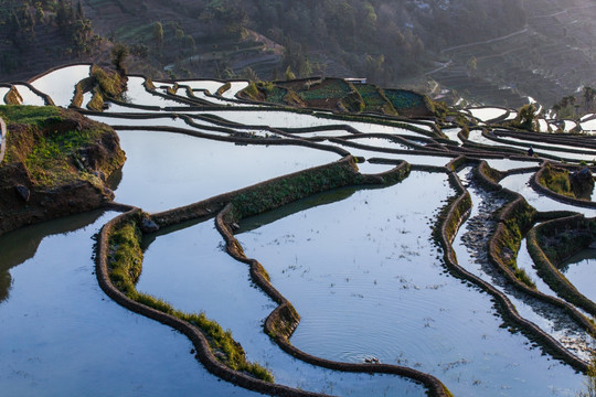 梯田