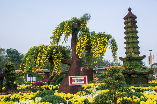 菊花展造型