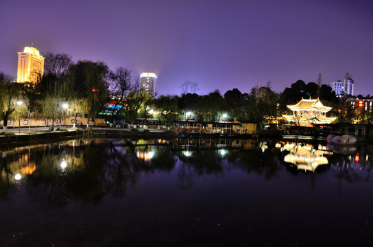 翠湖夜景