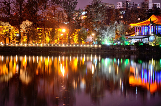 翠湖夜景