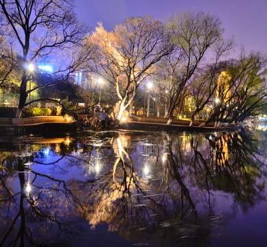 翠湖夜景高清图