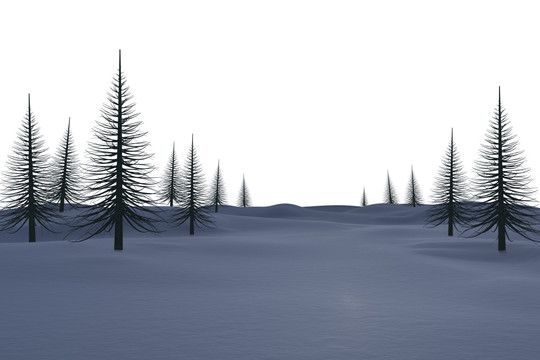 雪中的冷杉树